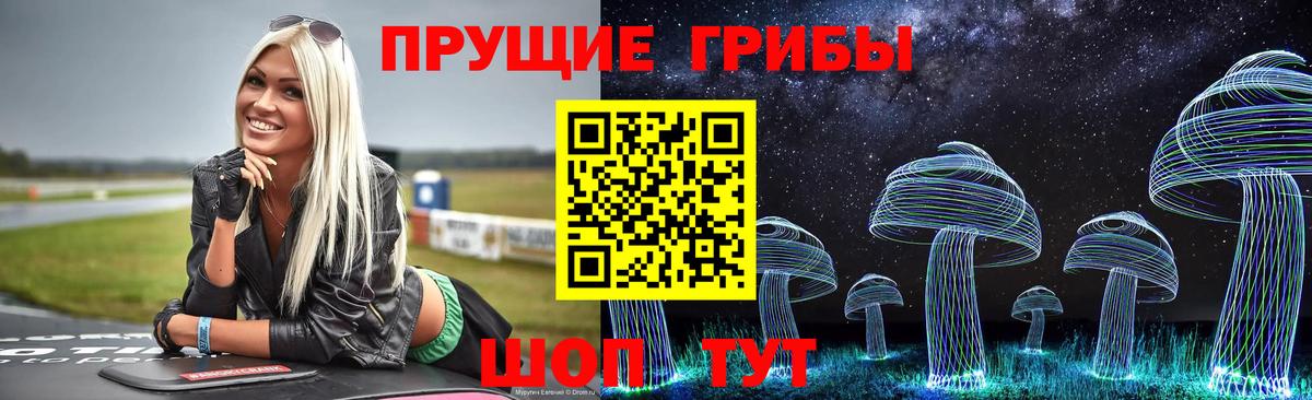 Севастополь  Псилоцибиновые грибы MAGIC MUSHROOMS  Псилоцибиновые грибы Psilocybe  Вход с VPN 